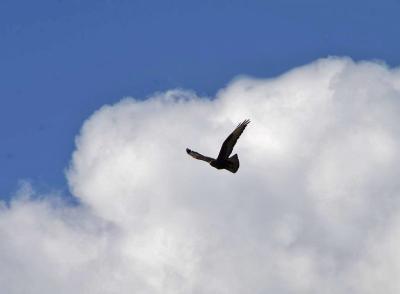 Прикрепленное изображение: IMGP6570.jpg